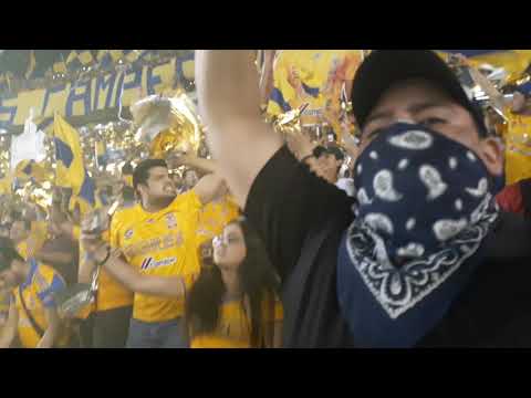 "Recibimiento  a tigres campeon" Barra: Libres y Lokos • Club: Tigres • País: México