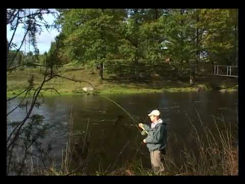 The Morrum River - Bonus Track Fishing