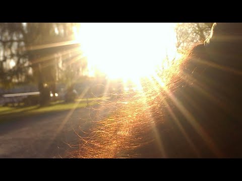 GESPRÄCHE MIT GOTT - Band 3 - Teil 3/9 von N. D. Walsch