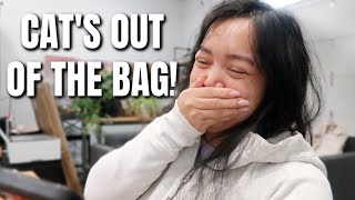 How I found out about the BACKSTREET BOYS SURPRISE! - @itsJudysLife