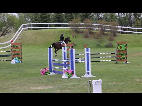 Nellybelle Blue Sky Classic