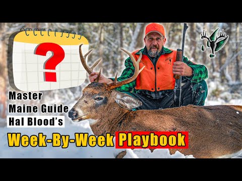 Master Maine Guide Hal Blood | Big Woods Hunting Strategies by Week