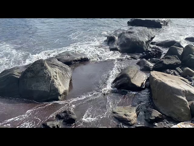 動画 無料絶景温泉 赤沢温泉露天風呂に行ってみた 伊豆 Onsen Fan 温泉動画
