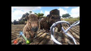 突然変異こいやー！ティラノサウルス(レックス)兄弟ブリーディング開始！【Ark Survival Evolved】【Season3part44】【最高画質】【公式PVE】