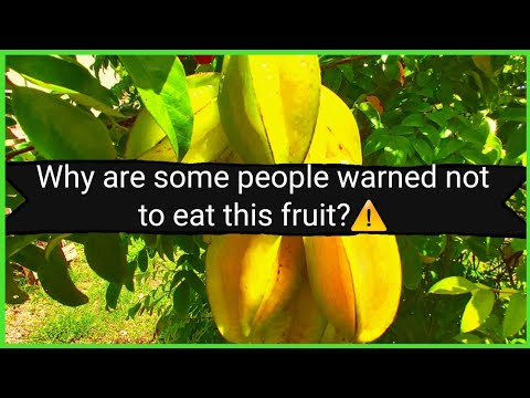 , title : 'Health Risks and Benefits of Star Fruit'