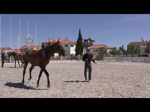 Nobel LGF - ExpoÉgua 2019