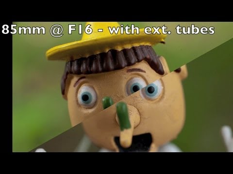 Extension tubes vs Macro lens