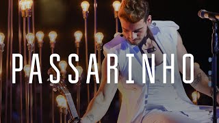 Passarinho Lyrics English Translation