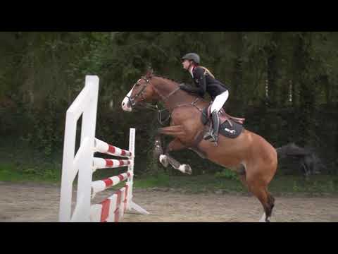 REITTV Teach Me - Online horse riding lessons