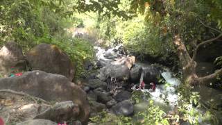 preview picture of video 'Lower falls, Nang Rong River, Nakhon Nayok Province'