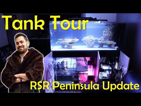 Reefer 650 First Tank Mods and Tank Organization!