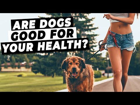 Are Dogs Good For Your Health? (Do Dog Owners Live Longer?!)