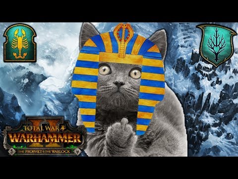SHOW ME YOUR WAR KITTY - Tomb Kings vs. Wood Elves - Total War Warhammer 2