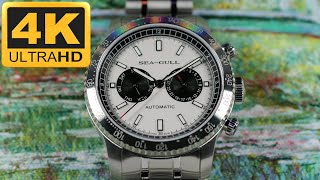 [Sea-Gull] Seagull – Panda Eye | GMT | Dual Calendar | Tachymeter, Not a Chronograph but still Good