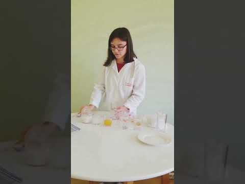 Izoliranje DNK iz tkiva banane - Leila Russell - IV Osnovna škola Mostar