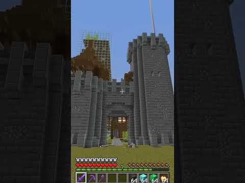 POV: You try to enter GOD village on the Minecraft SMP