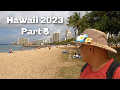 Havaí Parte 5 - Voando de volta para casa com a Hawaiian Airlines
