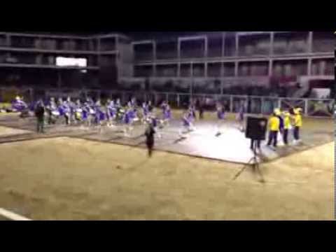 BICUDA - medicina Alfenas - INTERMED 2013