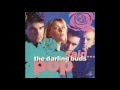 The Darling Buds ‎‎‎– You've Got To Choose