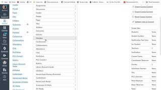 Canvas how to use proctorio for quiz