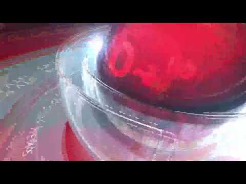 MIDDAY NEWS 08/08/25