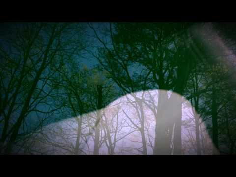 Stupid Dope Sirap - Difference