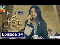 Raqs-e- Bismil Episode 14 Raqs e Bismil New Episode | Hum Tv Drama