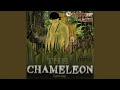 The Chameleon