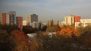 Betonwüste oder grüne Heimat