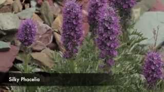 Trip video of Otokomi Lake hike.