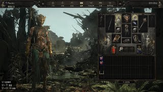 Re: [心得] 風暴 閃電傳送build