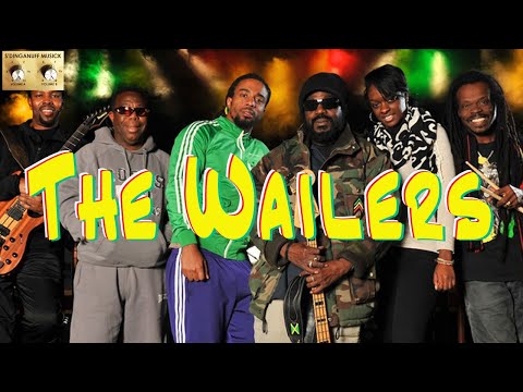 The Wailers Concert Overview - Bob Marley Band, Fréjus, France