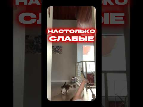 🏆 Насколько Прочный Домашний Турник? | ЭКСПЕРИМЕНТ 🪵