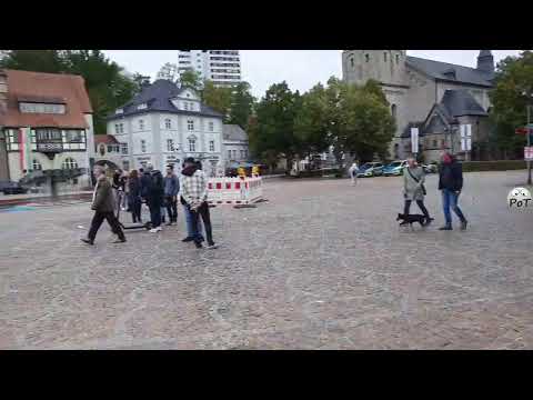 23.09.2022 Bergisch Gladbach - Pax Europa - Aufklärung über den politischen Islam