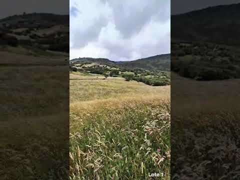 Venta Lote en Chocontá, Cundinamarca – 18.483 m² con 2 nacimientos de agua y vistas panorámicas