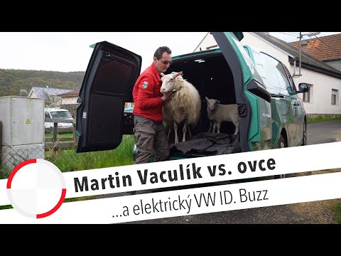 Martin Vaculík, elektrický VW ID. Buzz a živé ovečky! 🐑🔋 obrazok