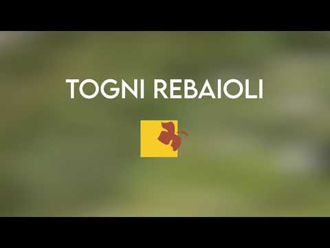 Video Promozionale Vigna