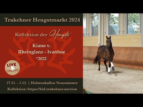 27 - Kiano - Hengst v. Rheinglanz - Ivanhoe *2022