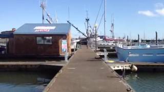 Fresh Seafood in Westport