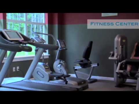 A Day at The Essex Resort & Spa