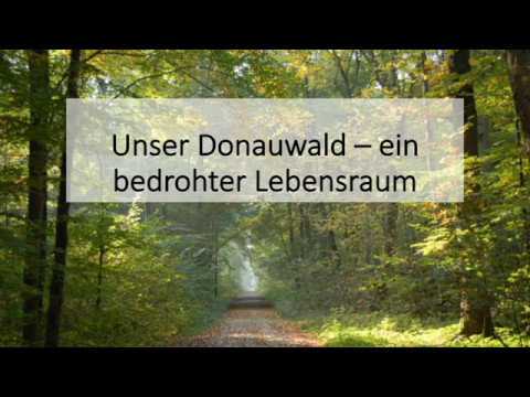 Das passiert nach einer Flutung des Polders