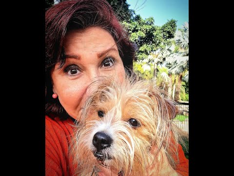 ¿Nos podrías dar cinco razones para adoptar a un perro como mascota?