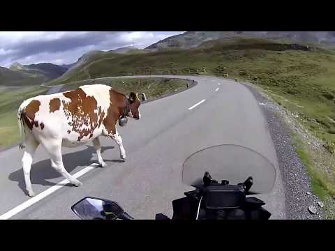 TOURING ON A BUDGET DAY 8 LAKE COMO  TO LIVIGNO