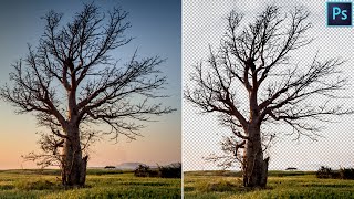How to Cut Out Trees Easily | Photoshop Tutorial