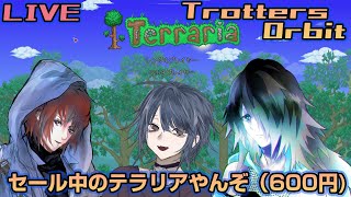 セール中のテラリアで遊んでいくよー！