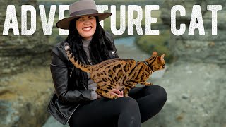 BENGAL Cat ADVENTURE Vlog || What it’s ACTUALLY Like WALKING A CAT!