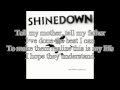 Shinedown - Second Chance (karaoke/instrumental) (with lyrics on screen)