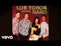 Los Toros Band - Como Te Olvido (Visualizer)