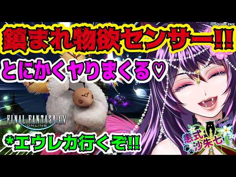 【#FF14 】素材集めレベル上げお手伝い!エウレカ行くぞ!!夜の部【#vtuber 】