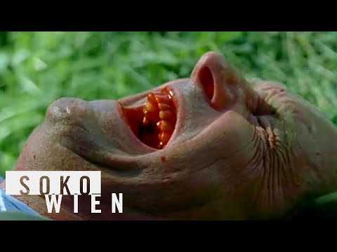 ᴴᴰ SOKO Wien Staffel 2 Folge 4 - Ein mörderischer Plan